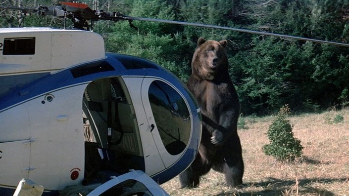 A giant Kodiak bear standing next to a helicopter in a clearing.